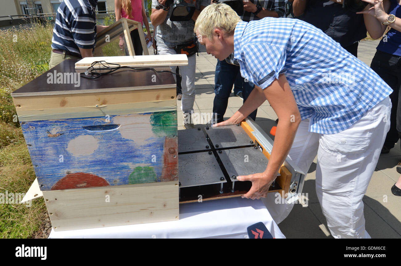 Stuttgart, Deutschland. 18. Juli 2016. Imker Maren Schwarz installiert eine "Biene-Sauna" in einem Bienenstock in Stuttgart, Deutschland, 18. Juli 2016. Unter der Hitze der Biene stirbt Sauna Hitze empfindlich Parasit Varroa Destructor. Foto: Franziska Kraufmann/Dpa/Alamy Live News Stockfoto
