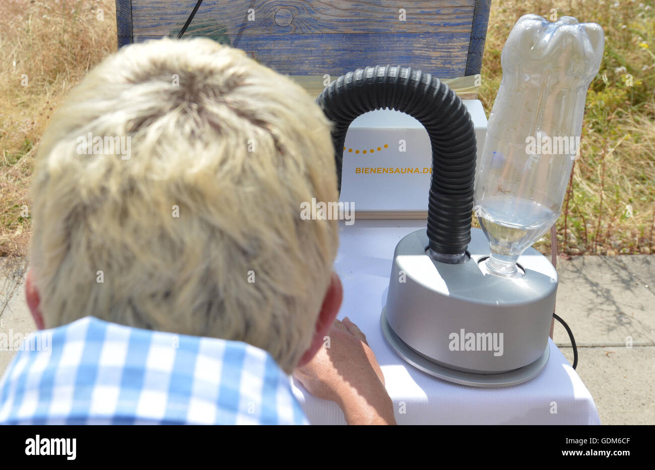 Stuttgart, Deutschland. 18. Juli 2016. Imker Maren Schwarz schaltet eine "Biene-Sauna" in einem Bienenstock in Stuttgart, Deutschland, 18. Juli 2016. Unter der Hitze der Biene stirbt Sauna Hitze empfindlich Parasit Varroa Destructor. Foto: Franziska Kraufmann/Dpa/Alamy Live News Stockfoto