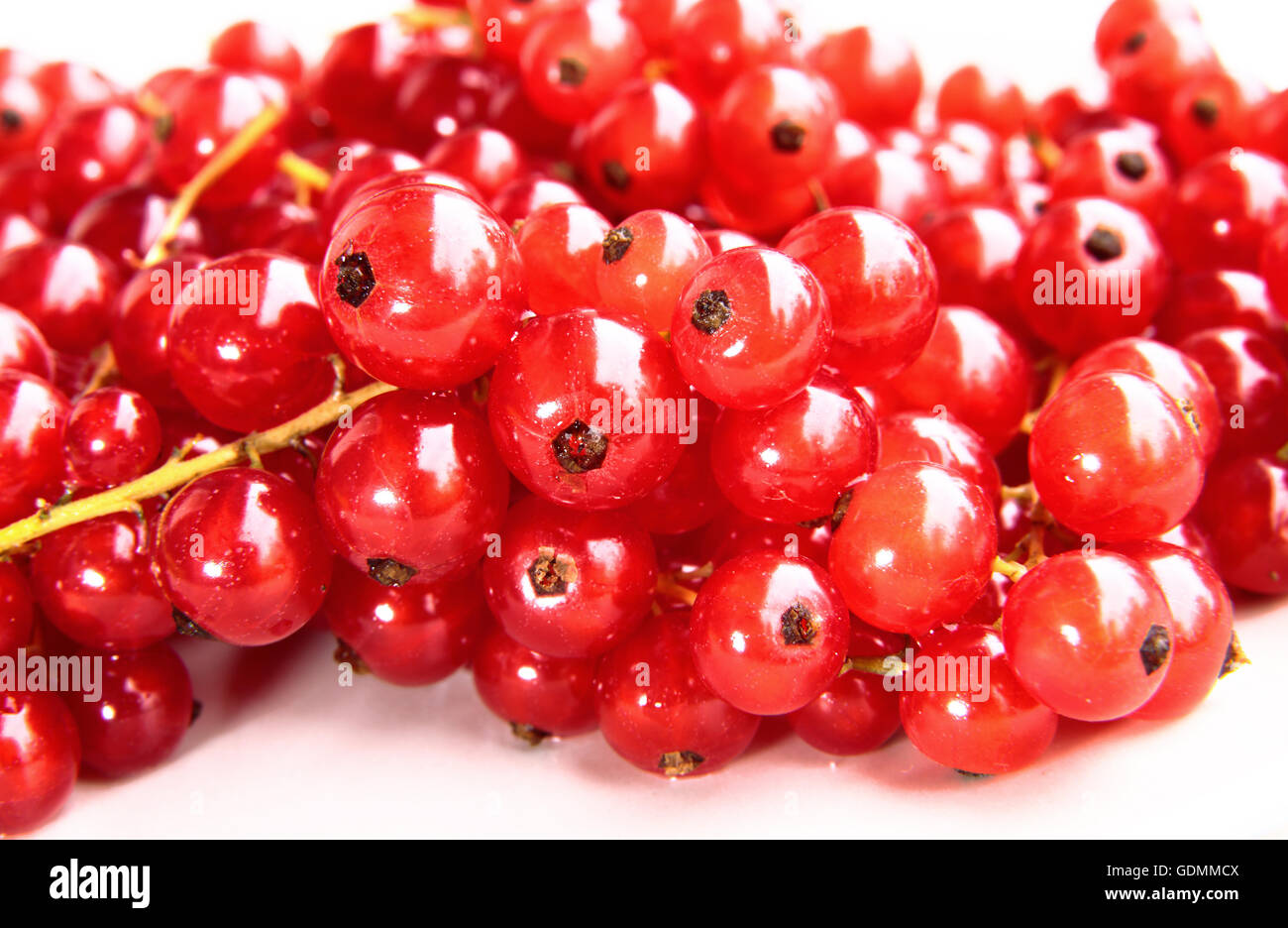 Bündel von frisch und delikat Johannisbeeren Stockfoto