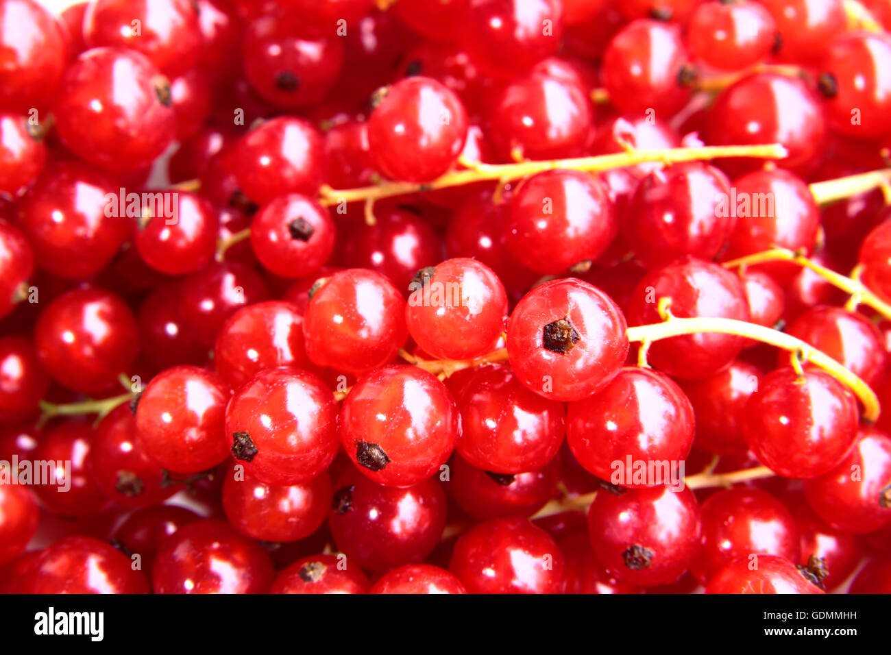 Bündel von frisch und delikat Johannisbeeren Stockfoto