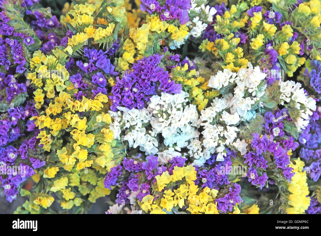 Bunte Blumen Hintergrund Stockfoto
