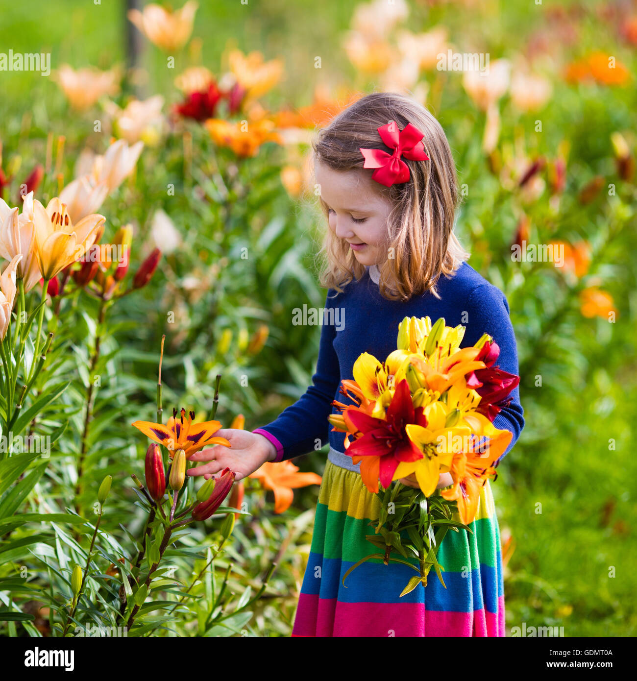 Niedliche kleine Mädchen Lilie Blumen pflücken im blühenden Sommergarten zur Verfügung. Kind hält Lilien Strauß in schönen Blumenwiese. Stockfoto