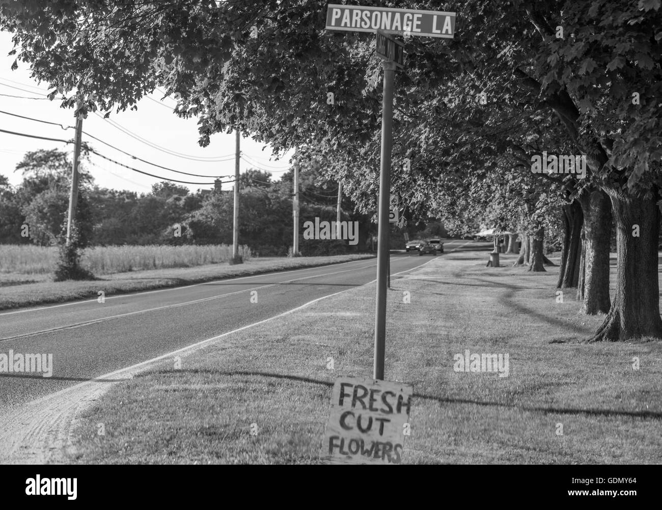 Straßenschild, Pfarrhaus Lane, mit einer Hand machte Zeichen lehnt sich an die Wegweiser Werbung frische Schnittblumen Stockfoto