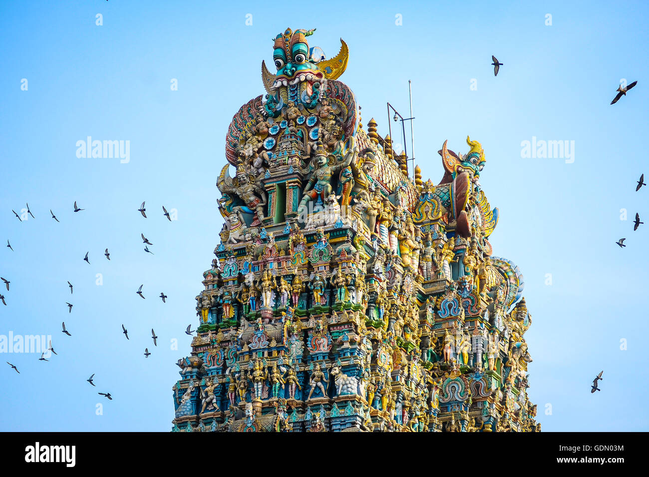 Tauben fliegen um Sri Meenakshi Sundareshwarar Tempel, Madurai, Tamil Nadu, Südindien, Indien Stockfoto