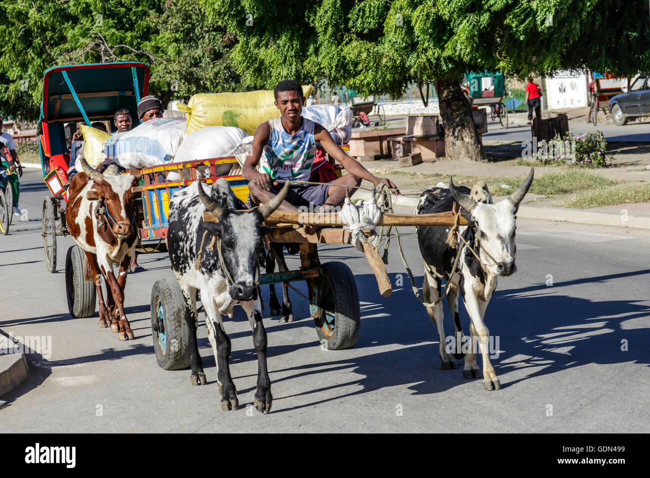 Mann Transport Taschen von Korn über einen Twin-übergreifende Zebu/Ochsenkarren. Ein anderer Mann ist das Ziehen einer pousse-pousse Rikscha direkt hinter. Toliara, Madagaskar Stockfoto
