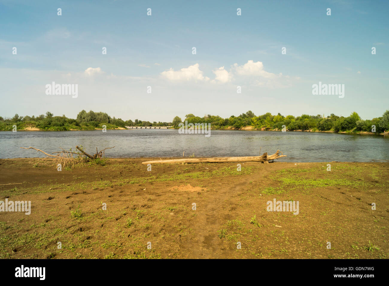 Wunderschöne Flusslandschaft bis zum Sommer mit grünen Baum an Land Stockfoto
