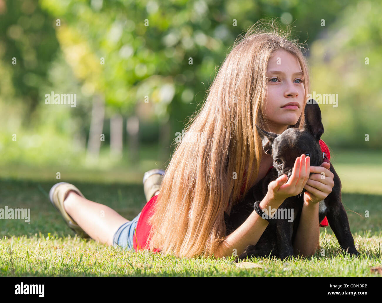 Junge hübsche Mädchen mit französische Bulldogge Welpen Stockfoto
