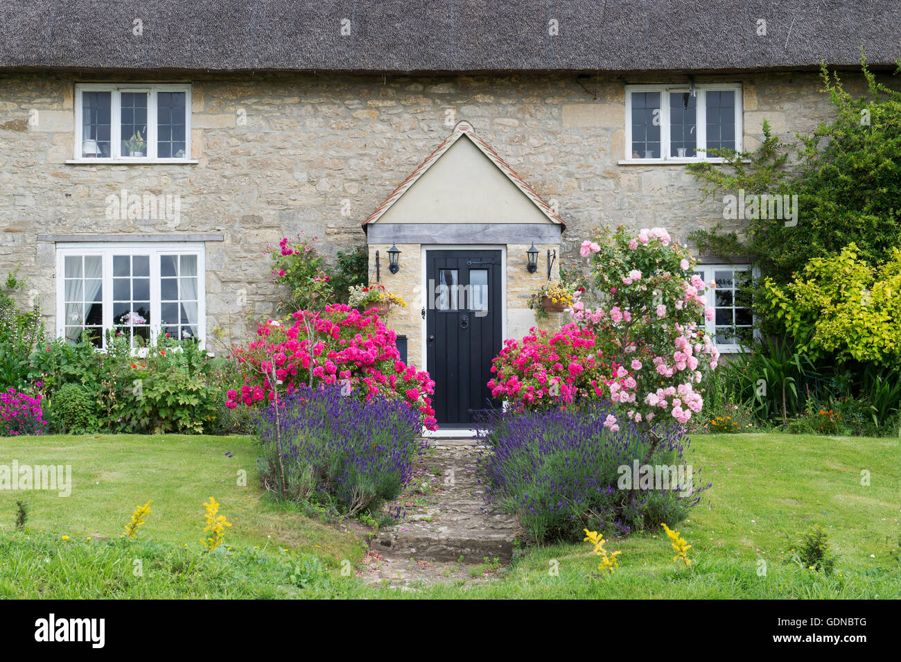 Lavendel und rose Weg vor einem reetgedeckten Bauernhaus. Oxfordshire, England Stockfoto