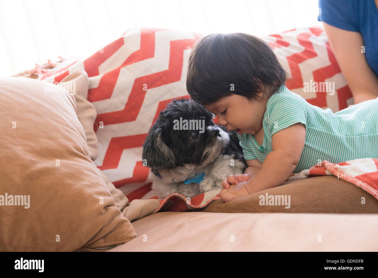 Baby spielt mit Hund auf sofa Stockfoto