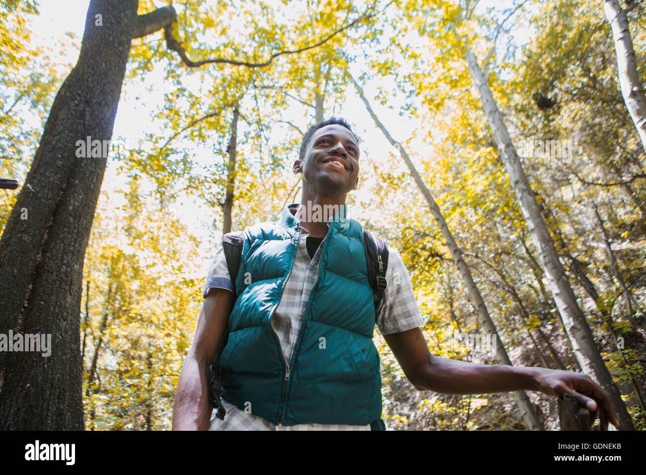 Junge männliche Wanderer Wandern im Wald, Arcadia, Kalifornien, USA Stockfoto
