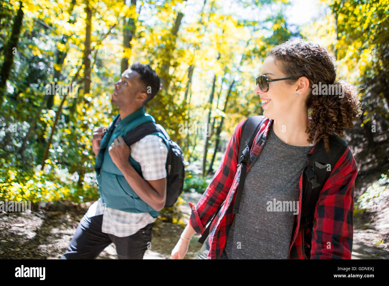 Junge weibliche und männliche Wanderer Wandern im Wald, Arcadia, Kalifornien, USA Stockfoto