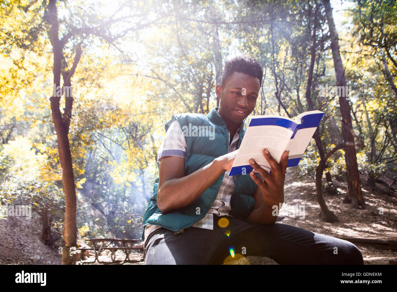 Junge männliche Wanderer lesen Ratgeber im Wald, Arcadia, Kalifornien, USA Stockfoto