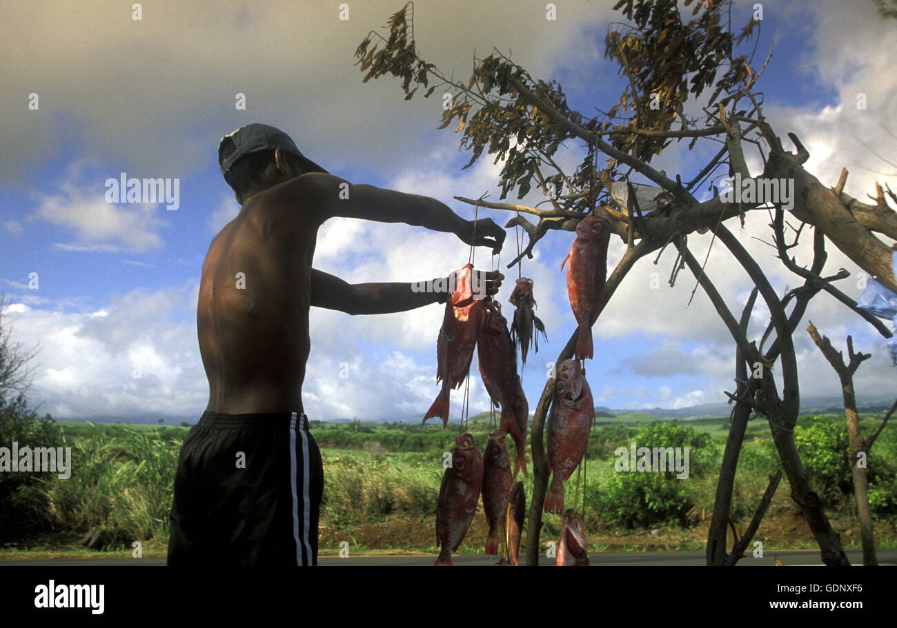 Fisch Verkauf auf Roat in der Nähe der Stadt St Leu auf der Insel La Réunion im Indischen Ozean in Afrika. Stockfoto