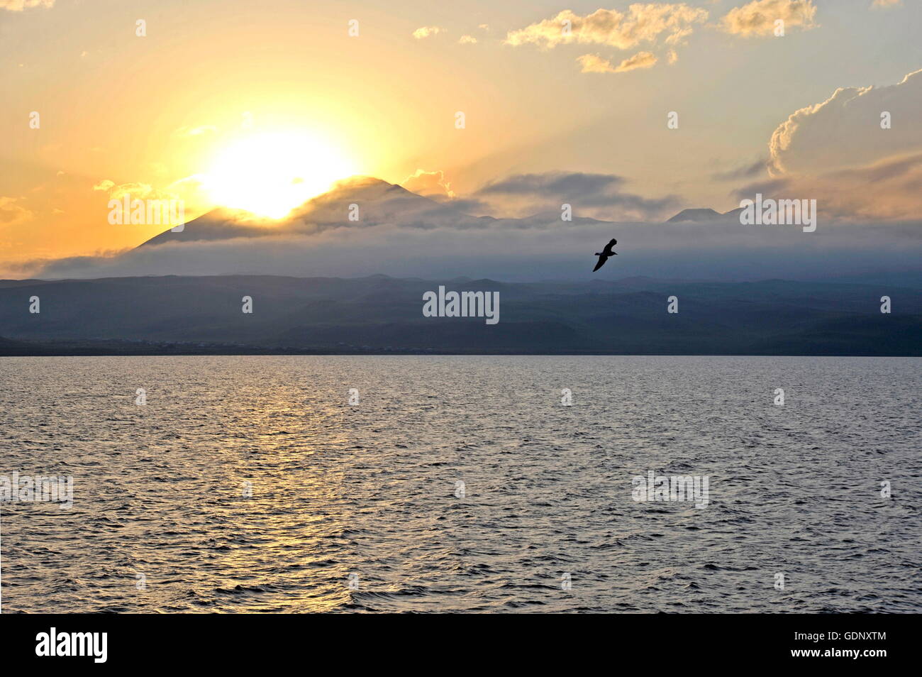 Geographie/Reisen, Georgien, untere Kartli, Kwemo Kartli, Paravani-see, See, Additional-Rights - Clearance-Info - Not-Available Stockfoto