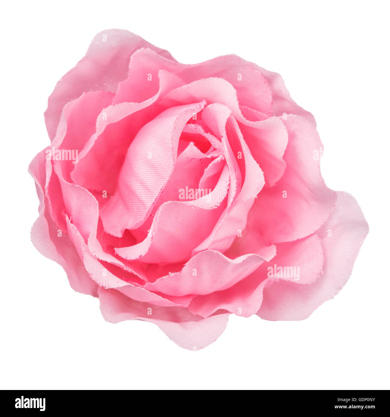 rosa Blüte, isoliert, schöne Dekoration, Ansicht von oben Stockfoto