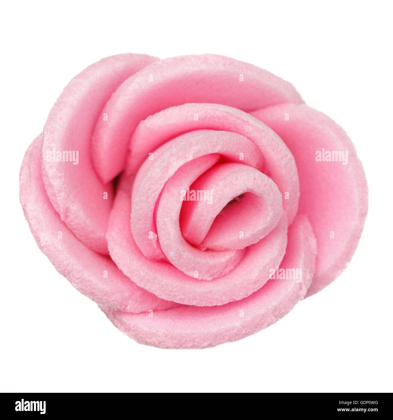 rosa Blüte, isoliert, schöne Dekoration, Frühling und Sommer-Konzept Stockfoto