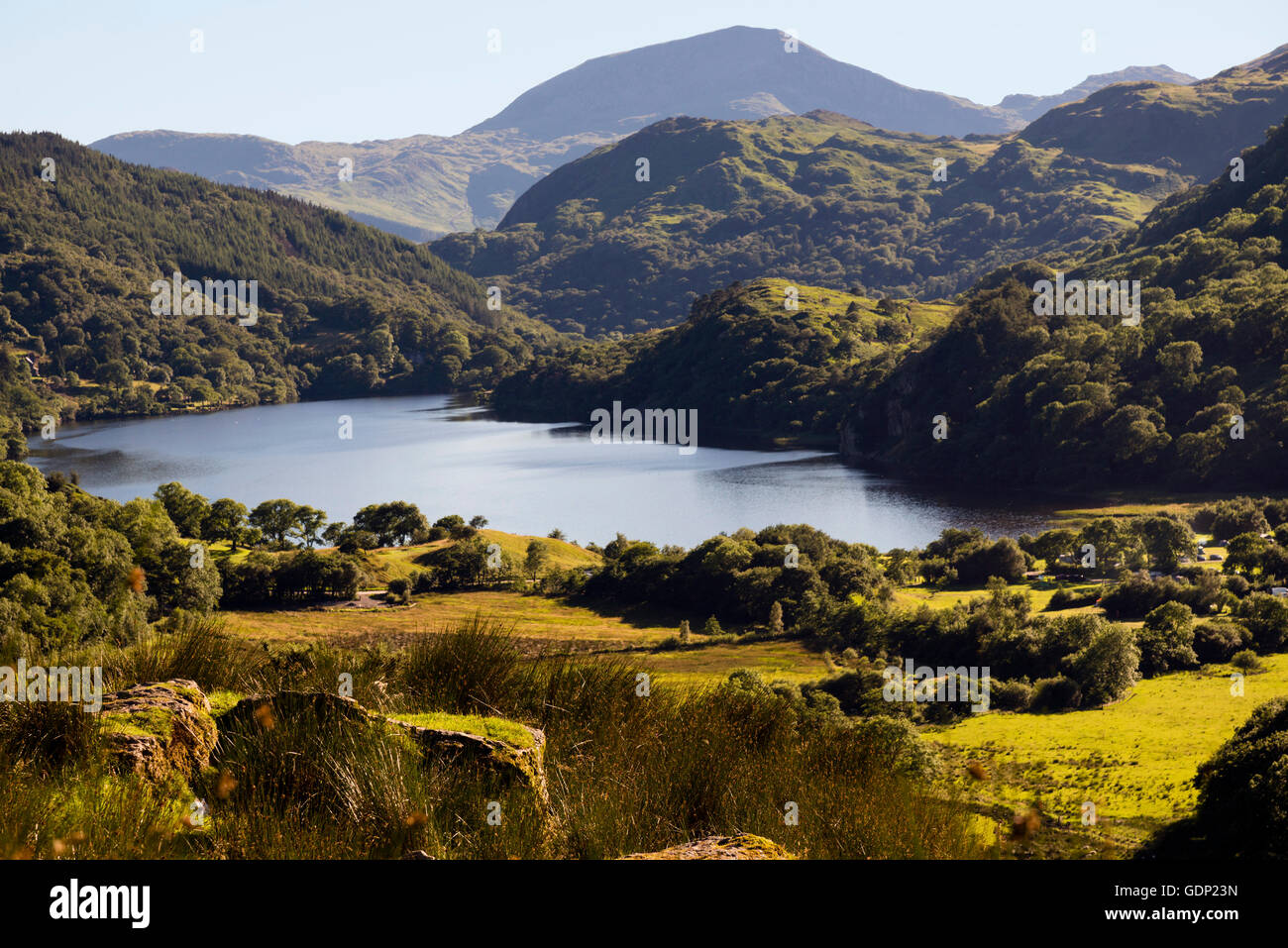 Llyn Gwynant See auf einem Sommer-Abend, Wales, UK. Stockfoto