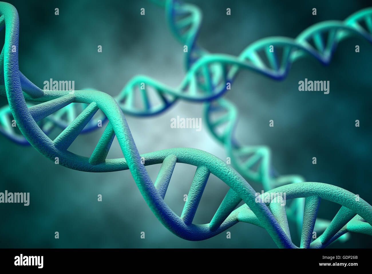 3D-Rendering des DNA-Moleküls des Menschen. Stockfoto