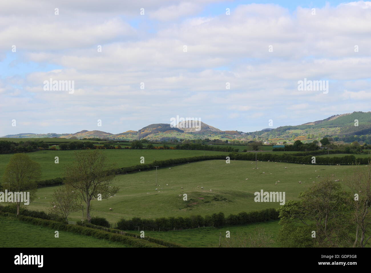 Irische Natur, Irish Village, Blick auf die Berge, Schafe Stockfoto