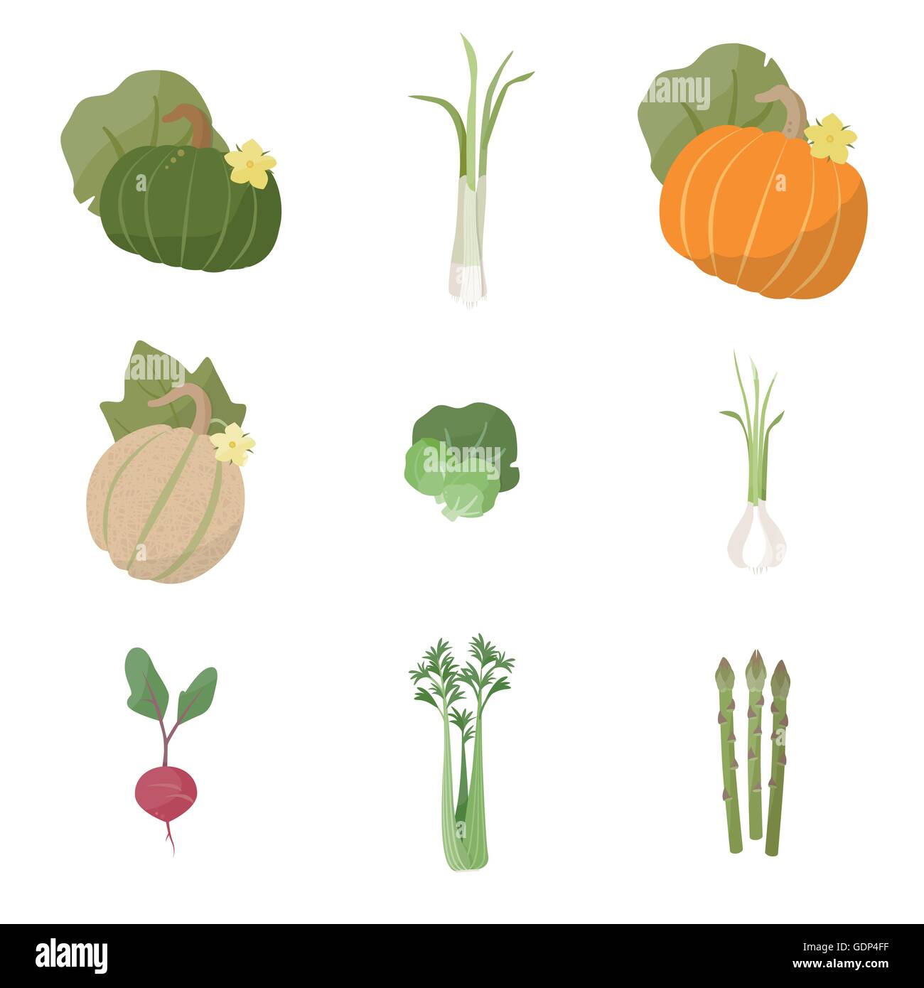 Frisches Gartengemüse setzen Sie auf weißem Hintergrund, einschließlich Kürbis, Frühlingszwiebeln, Melone, Rosenkohl, Knoblauch, Rettich, Sellerie, Stock Vektor