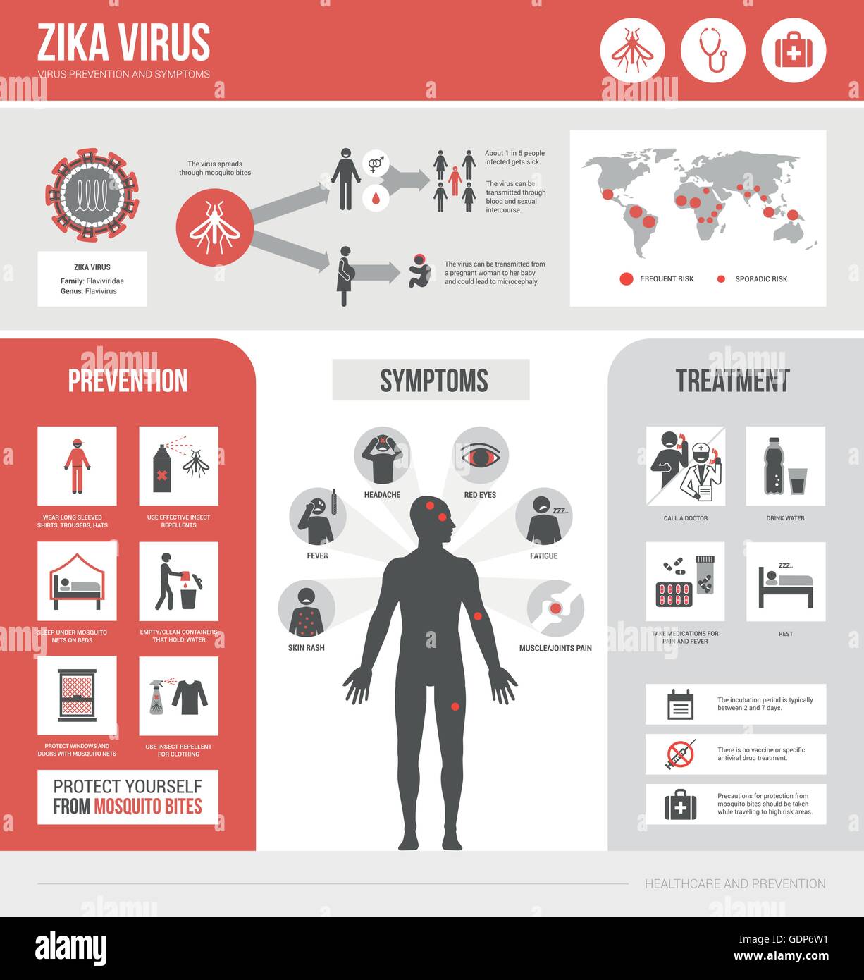 Zika Virus Infografik: Vorbeugung, Symptome und Behandlung Stock Vektor