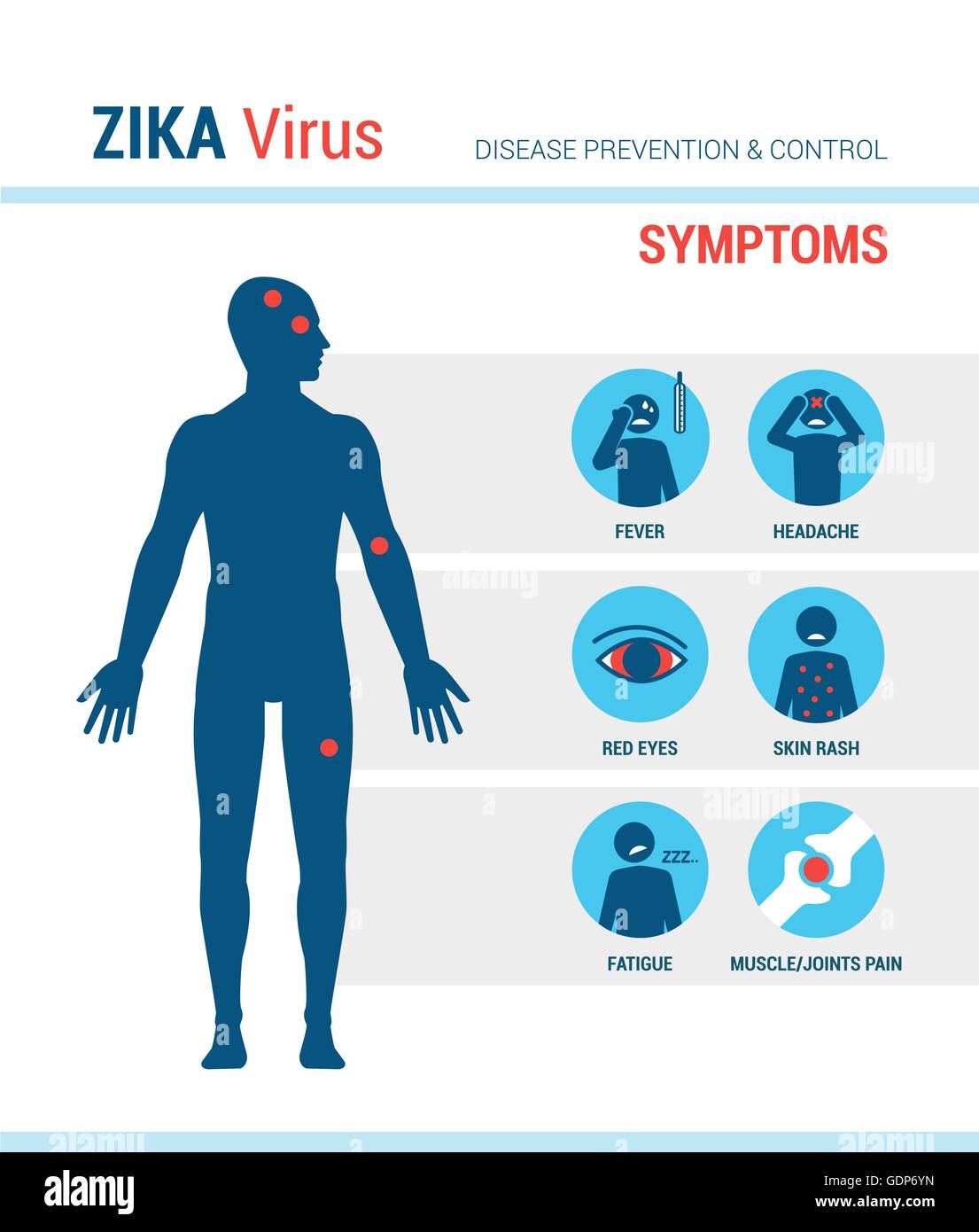 Zika Virus Symptome Infografiken mit Strichmännchen und text Stock Vektor