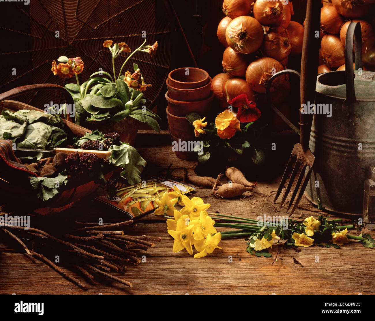 Gerätehaus Szene, frisch gepflückten Blumen und Gemüse mit Gartengeräten und Blumen Töpfe Stockfoto