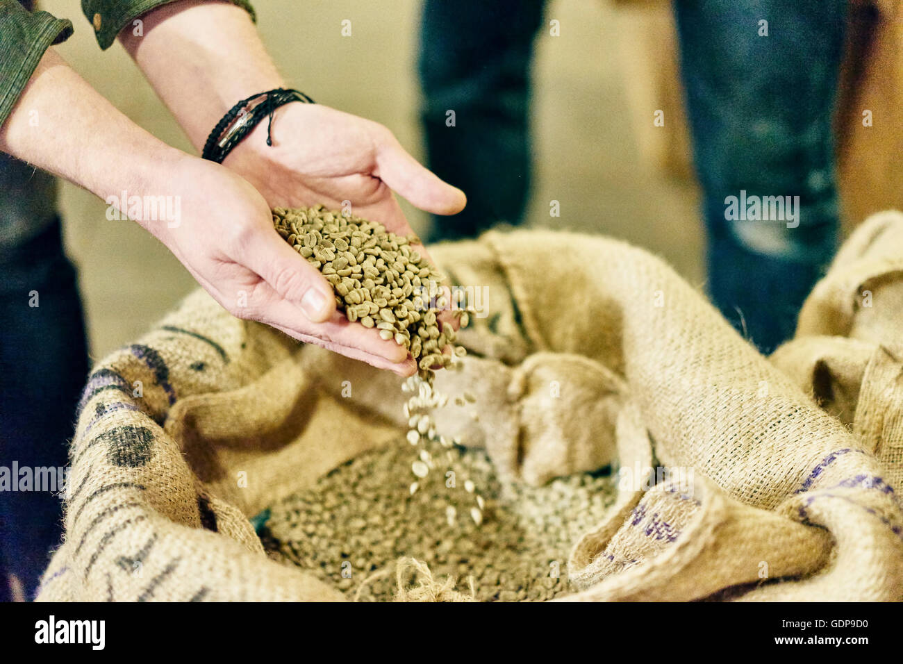 Händen des männlichen Kaffee Shop-Betreiber, die rohen Kaffeebohnen in Abstellkammer überprüfen Stockfoto