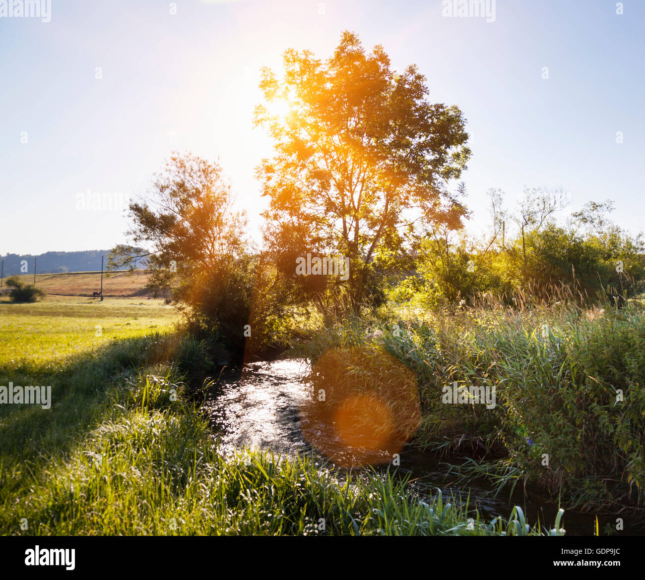 Sonnendurchfluteten Landschaft mit Baum und streamen Stockfoto