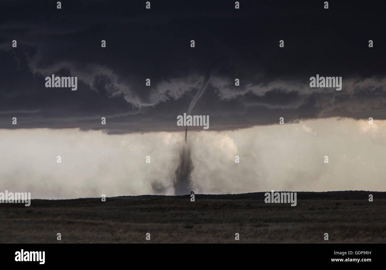 Ein Tornado landet auf Feld Stockfoto