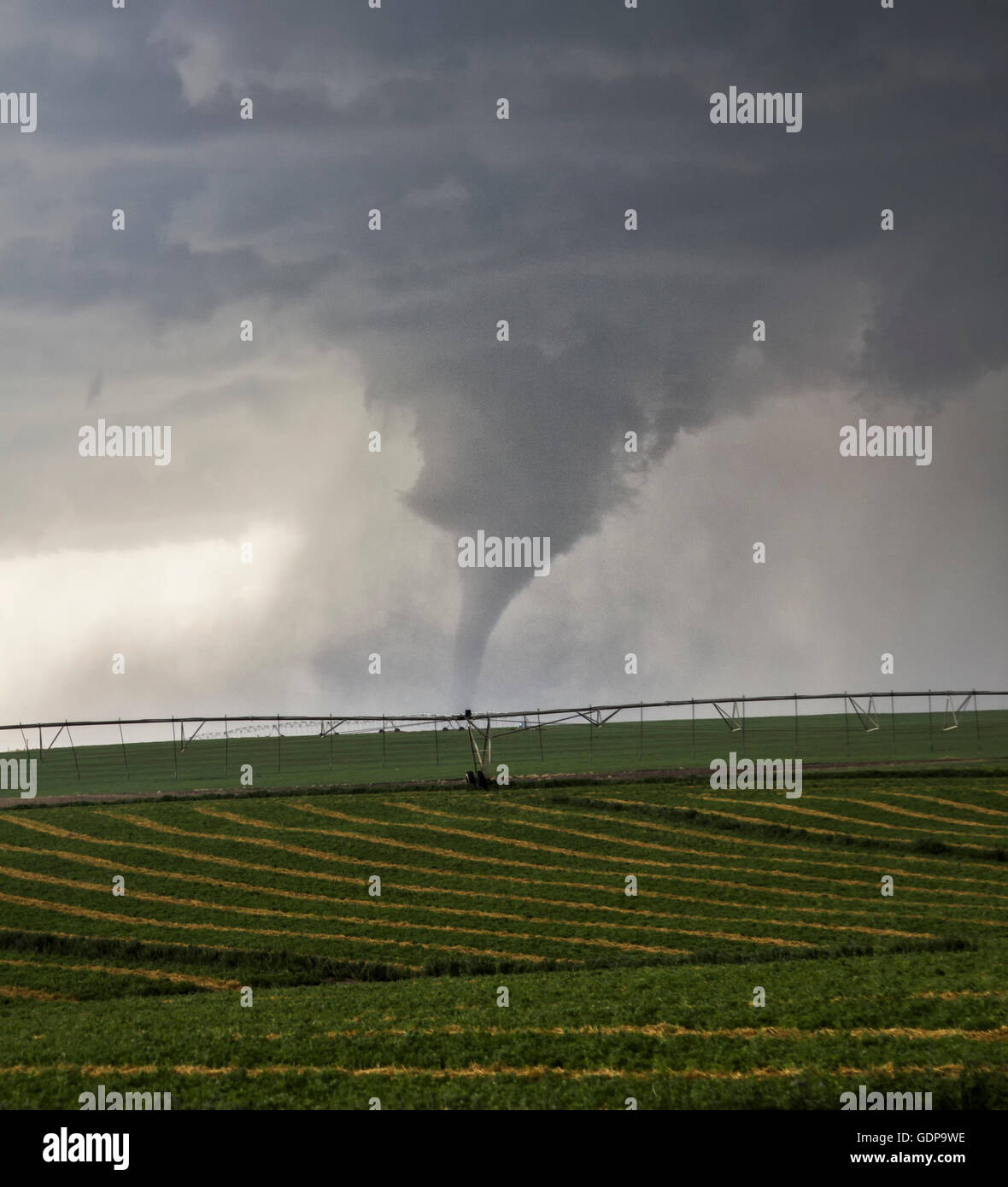 Großen Tornado senkt sich über farmland Stockfoto