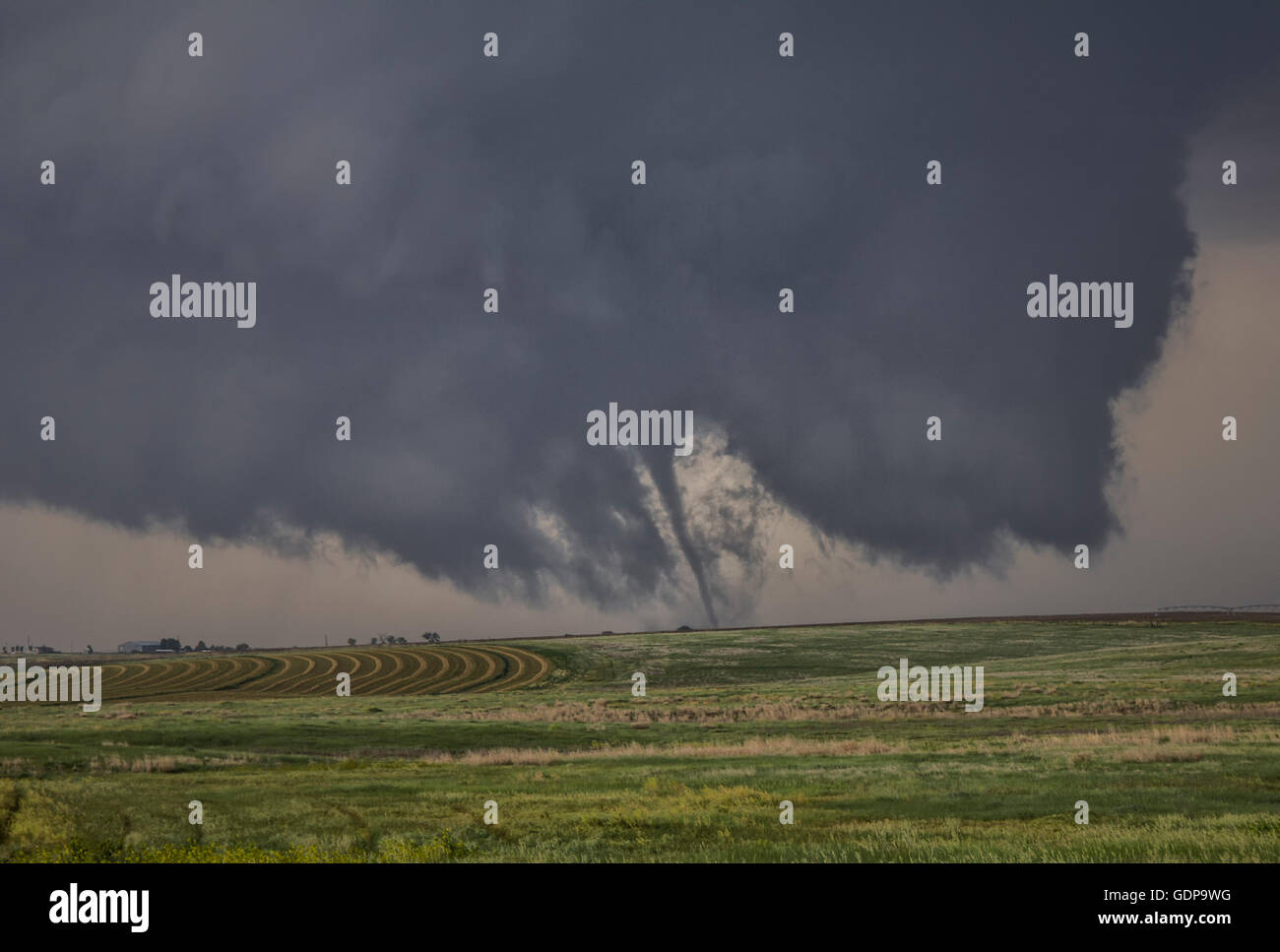 Ein sehr dünne Saug-Vortex-Tornado erstreckt sich auf die Erde von einer heftig rotierenden Wall Cloud über Ackerland Stockfoto