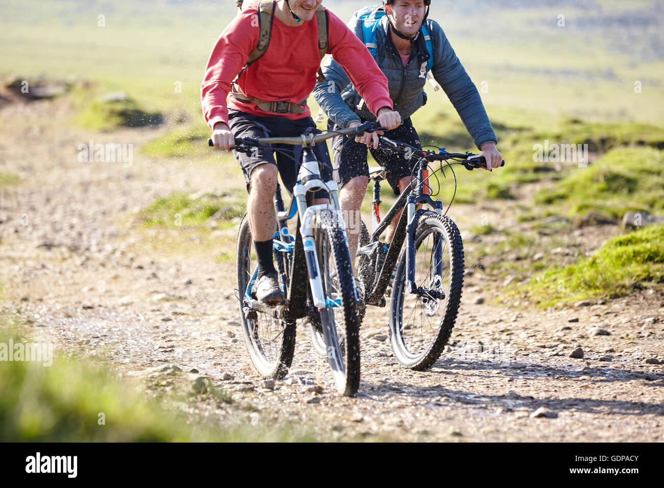 Radfahrer, Radfahren auf Feldweg Stockfoto