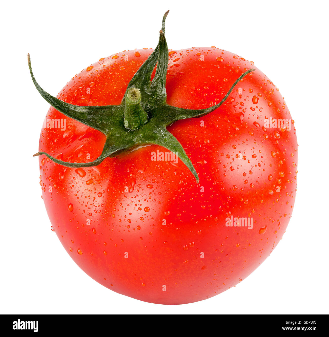 Tomate mit Wassertropfen auf dem weißen Hintergrund isoliert. Stockfoto