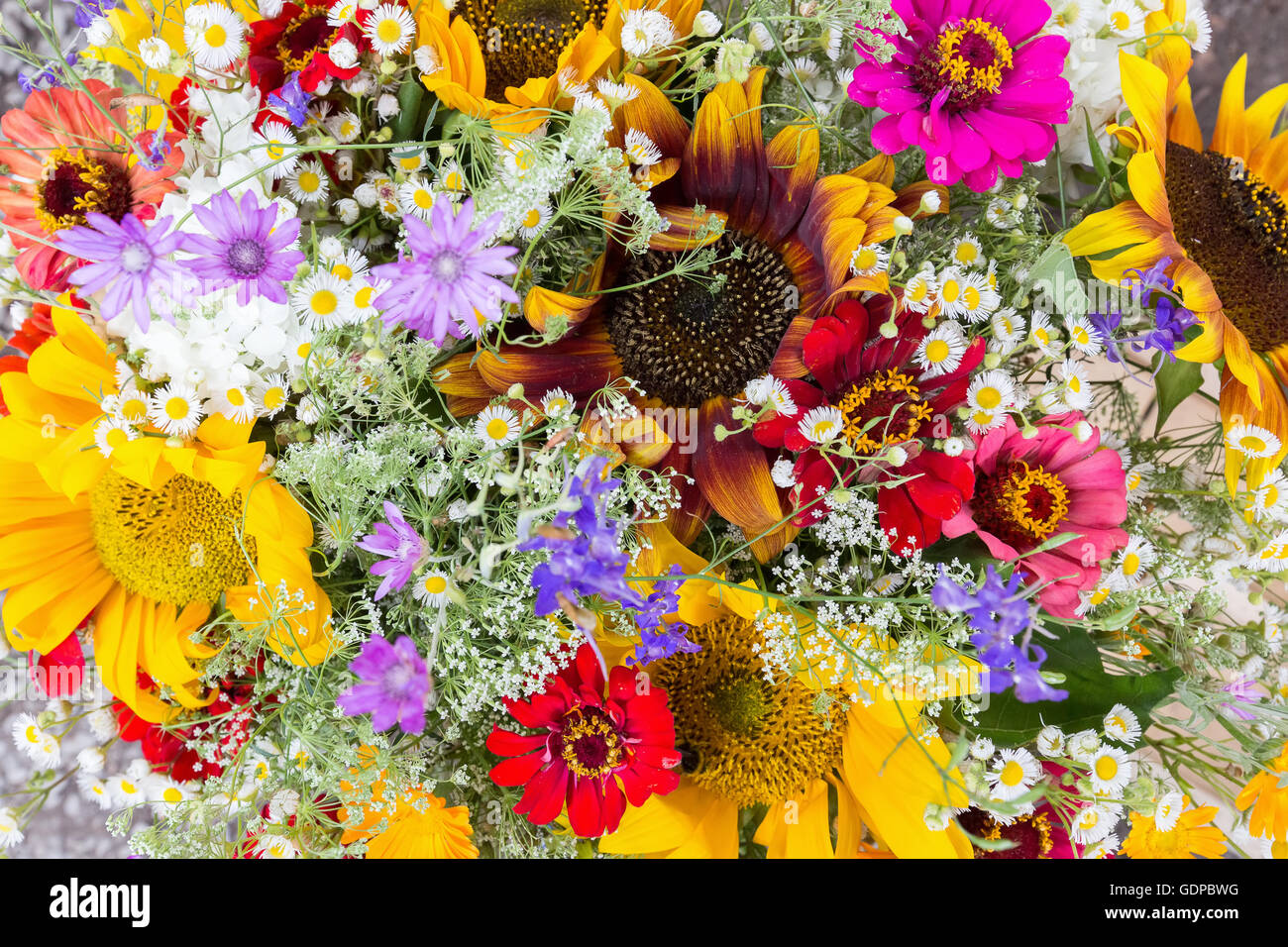 Nahaufnahme von Blumenstrauß. Stockfoto
