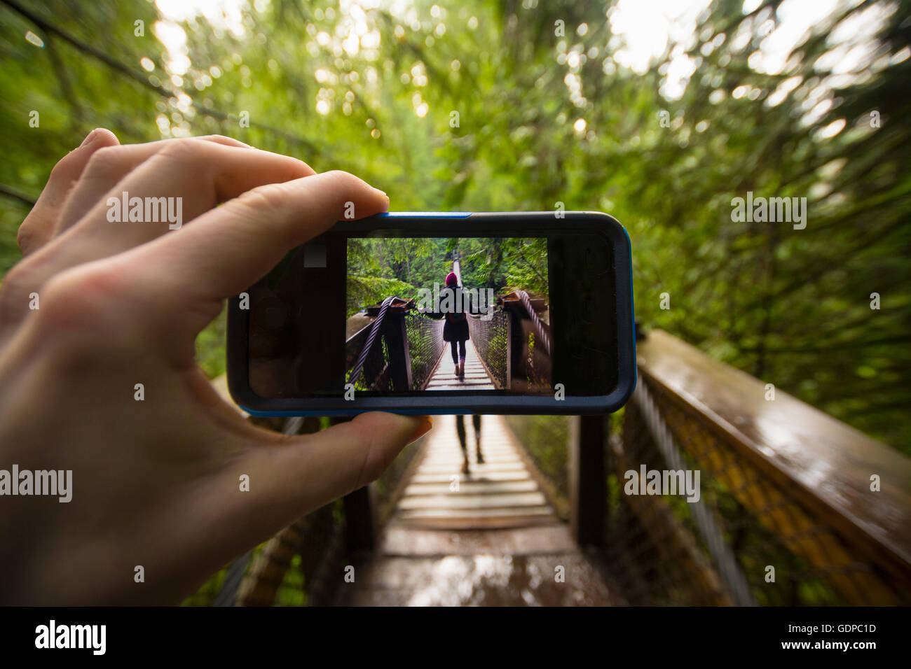 Hand des Mannes festhalten Smartphone mit Bild der Frau Lynn Canyon Suspension Bridge, North Vancouver, British Columbia, Kanada Stockfoto