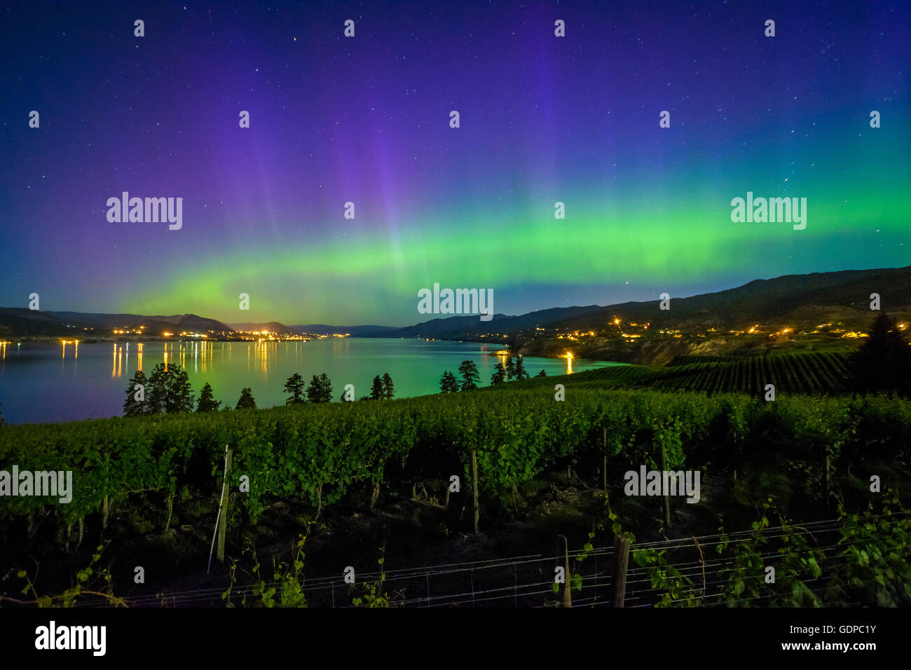 Aurora Borealis über Weinberge, Naramata, British Columbia, Kanada Stockfoto