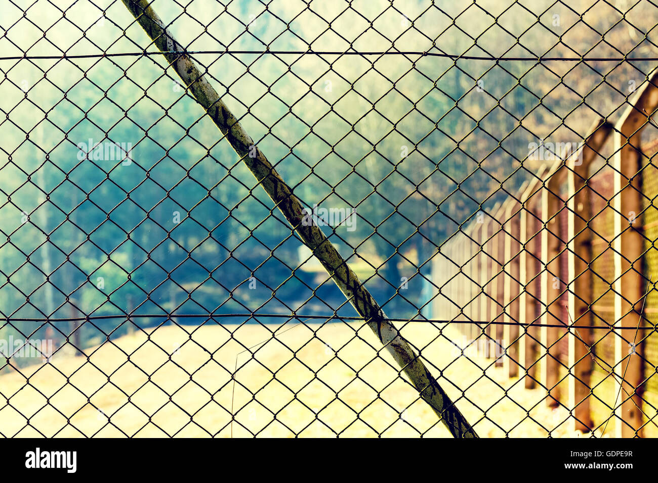 Mesh-Netze Rabitz auf dem Zaun Stockfoto
