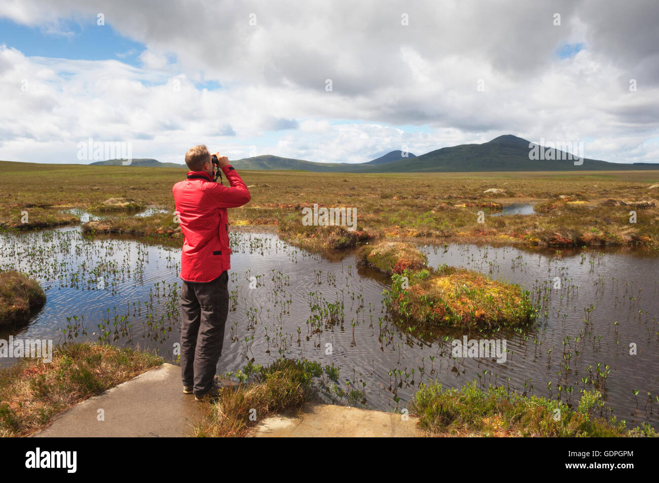 Vogelbeobachter Naturlehrpfad Dubh man - Forsinard RSPB Naturschutzgebiet, Sutherland, Schottland. Stockfoto