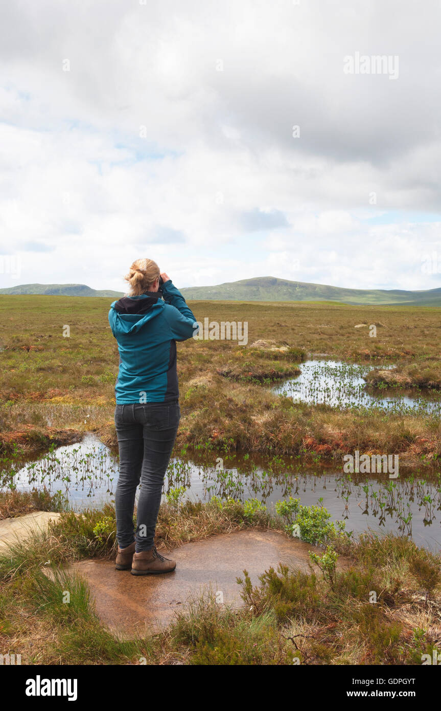 Vogelbeobachter Naturlehrpfad Dubh man - Forsinard RSPB Naturschutzgebiet, Sutherland, Schottland. Stockfoto