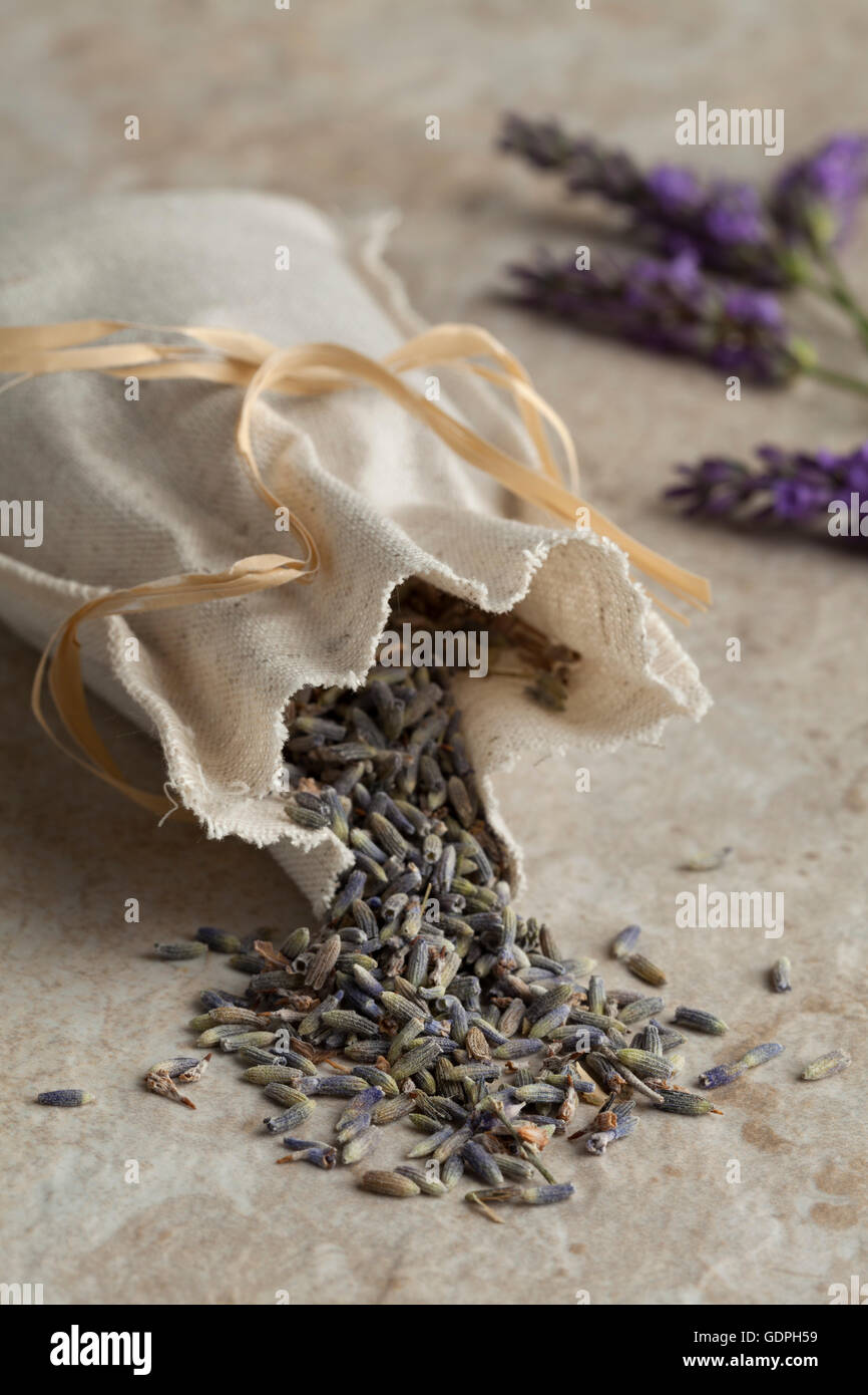 Leinen-Säckchen mit getrockneten Lavendelblüten Stockfoto