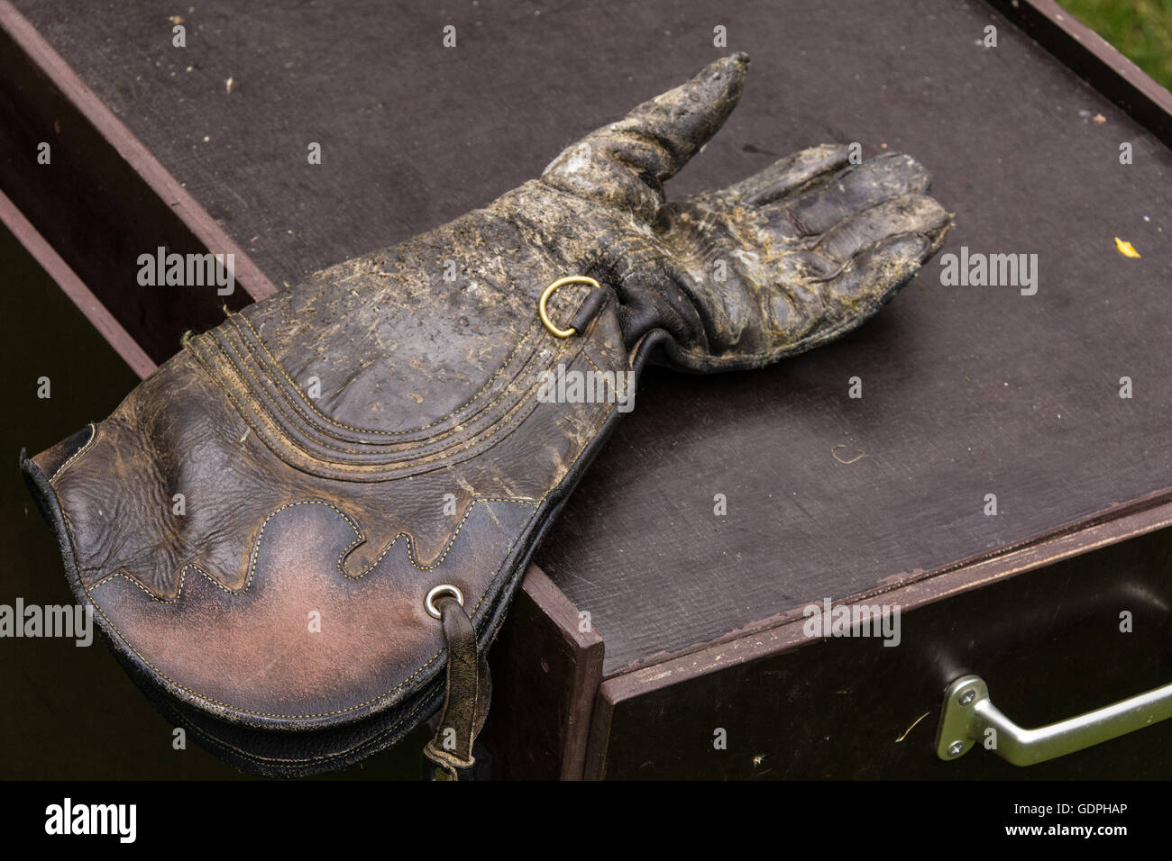 Falknerei Gauntlet Stockfoto