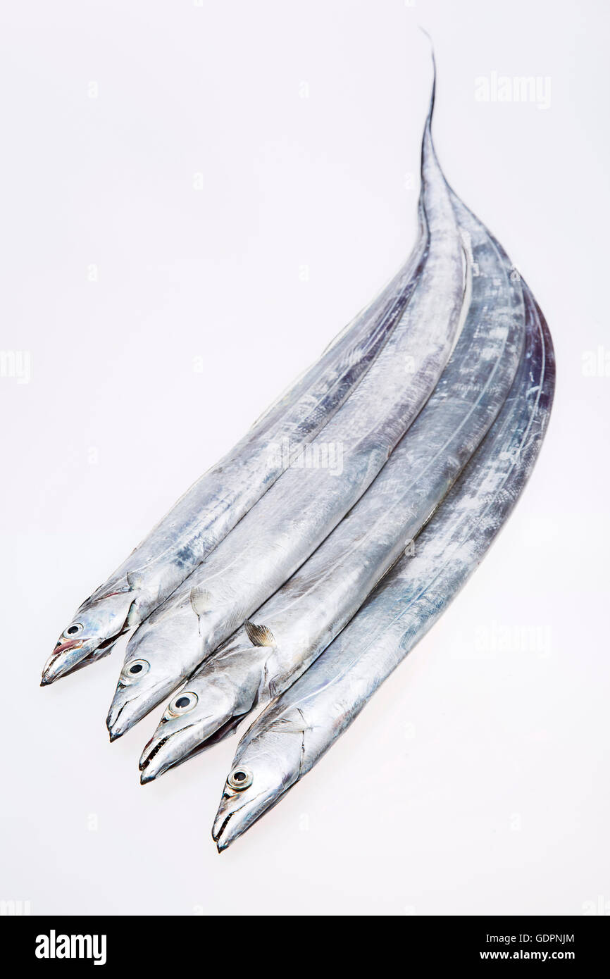 Ungekocht Delfins Frischfisch / Cutlassfish Isolated on White Stockfoto