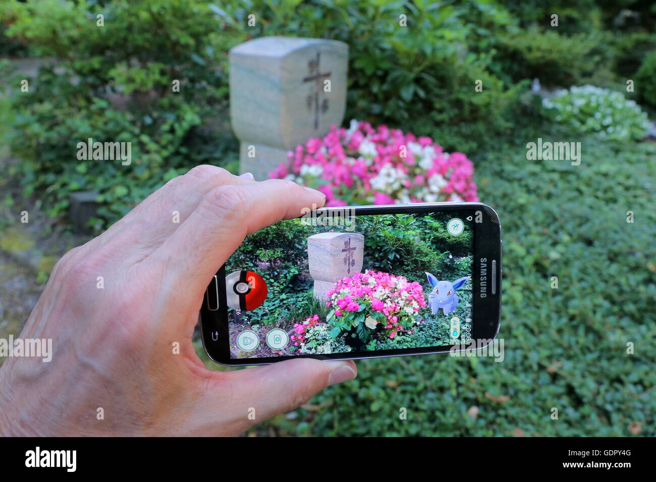 Pokémon Go-Spieler mit seinem Handy auf dem Friedhof in Dortmund, Deutschland Stockfoto