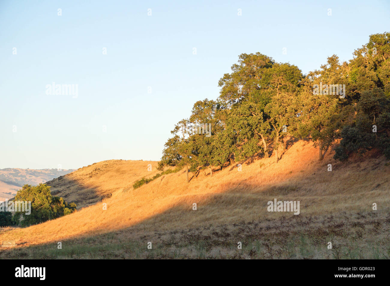 Hügel, gebadet im warmen Abendlicht, California Stockfoto
