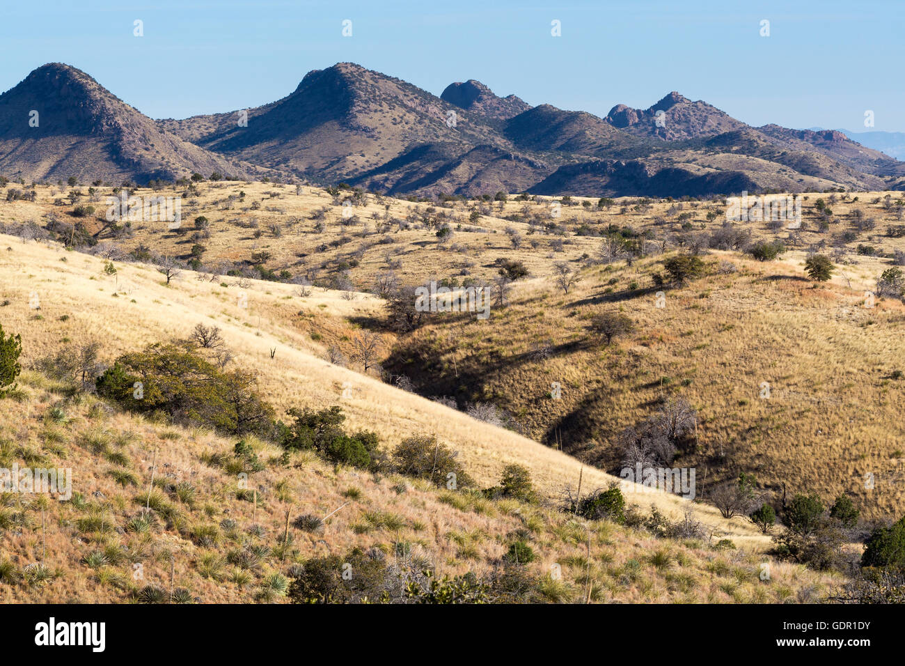 Die nördlichen Ausläufer der Santa Rita Mountains breitet sich in die Ferne. Coronado National Forest, Arizona Stockfoto