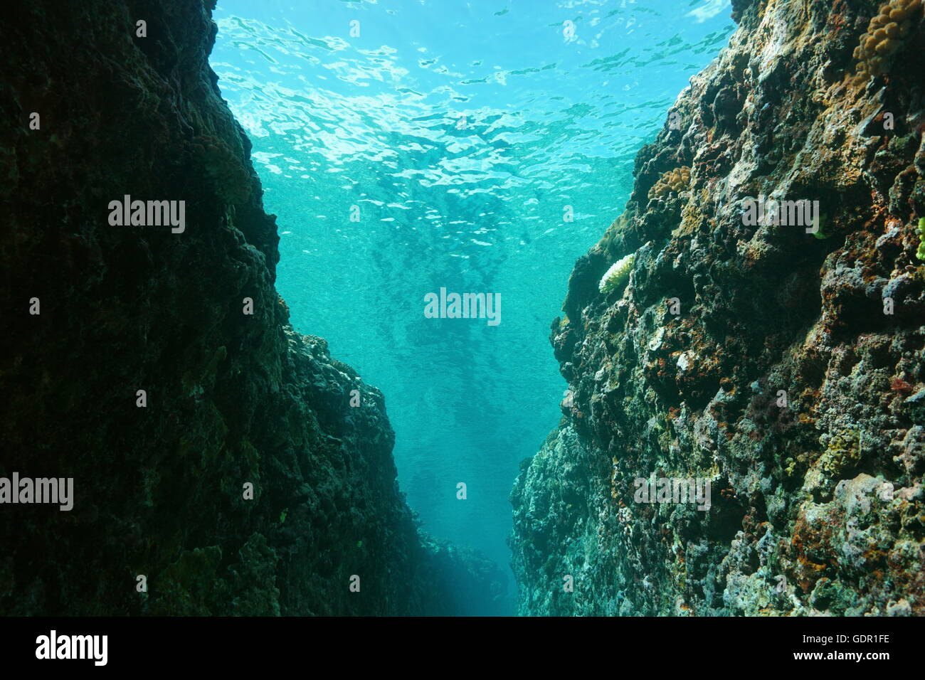 Unterwasser Gletscherspalte im Außenriff, Pazifik, Französisch-Polynesien Stockfoto