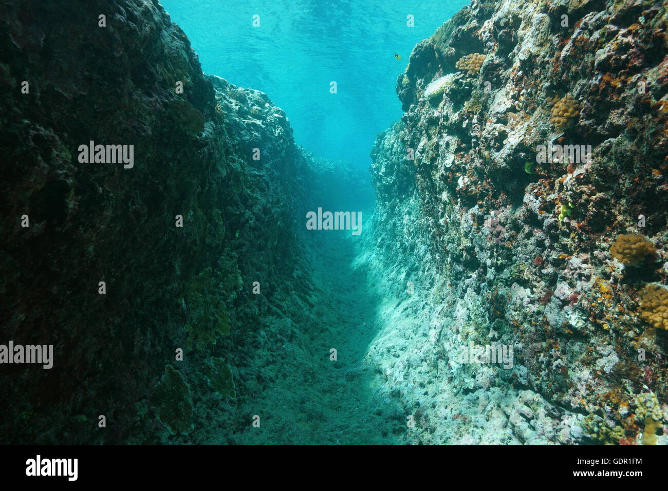 Unterwasser Graben in das Außenriff, Pazifik, Französisch-Polynesien Stockfoto