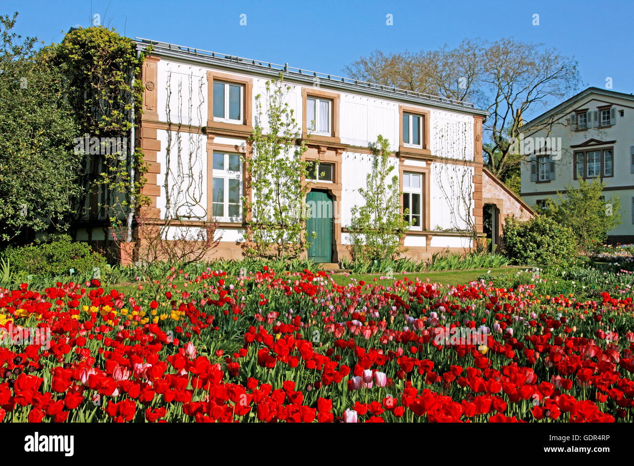 Hermannshof weinheim Fotos und Bildmaterial in hoher Auflösung Alamy
