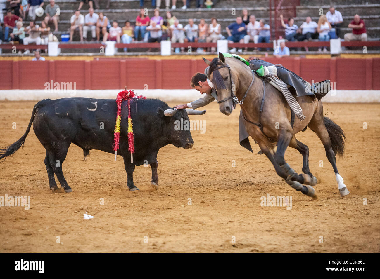 Andujar, Spanien - 12. September 2009: Andy Cartagena, Stierkämpfer zu Pferd Spanisch, Andujar, Jaen, Spanien Stockfoto